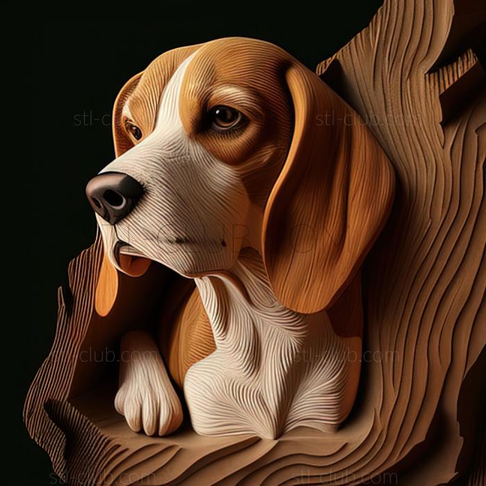 st Beagle dog